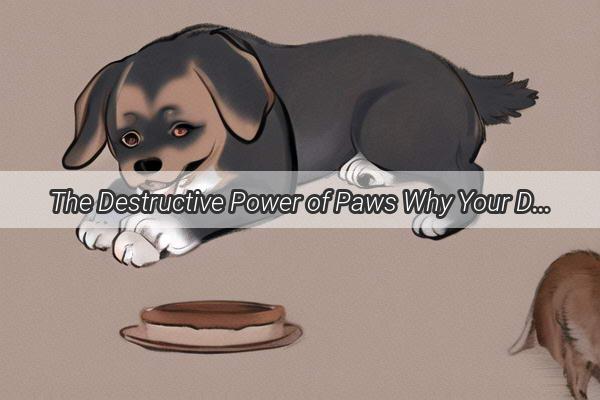 The Destructive Power of Paws Why Your Dogs Insatiable Chew Obsession Needs Addressing